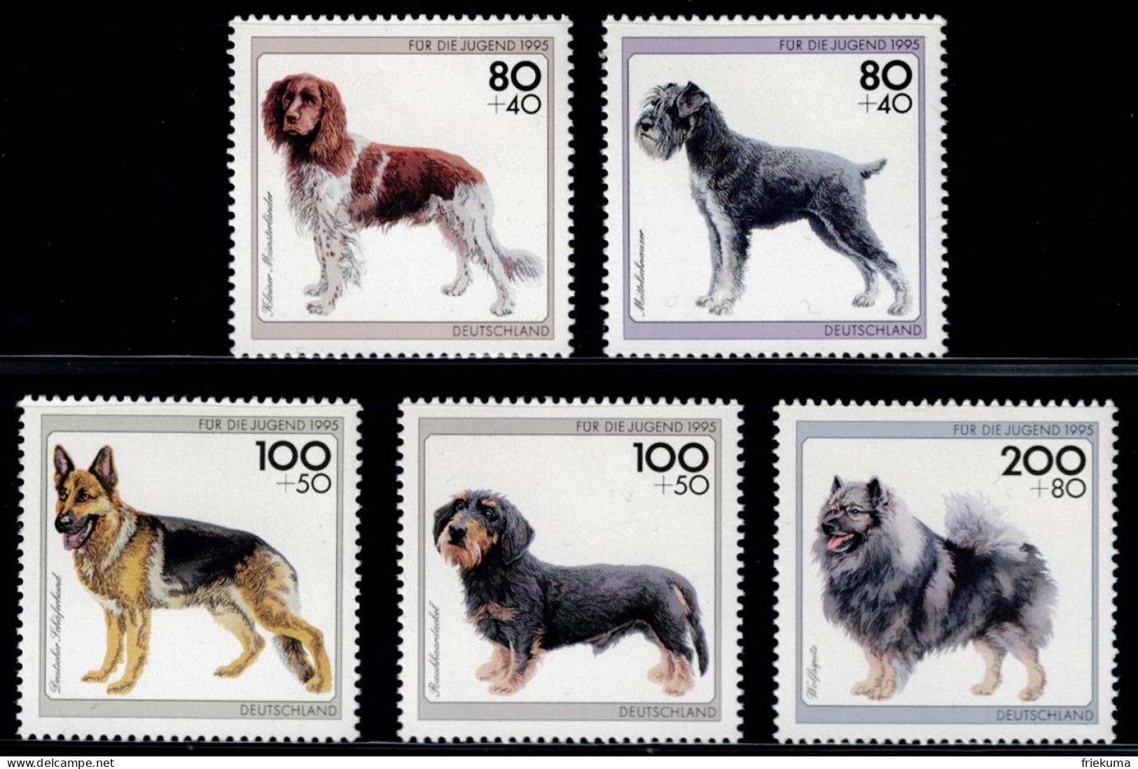 Bundesrepublik Deutschland 1995, Dogs: Small Münsterländer, Medium Schnauzer, Wolfspitz, Etc., MiNr. 1797-1801 - Honden