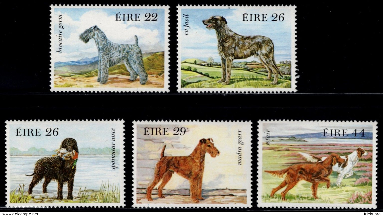 Éire 1983, Dogs: Kerry Blue Terrier, Irish Wolfhound, Irish Water Spaniel, Irish Terrier, Irish Setter, MiNr. 510-514 - Hunde