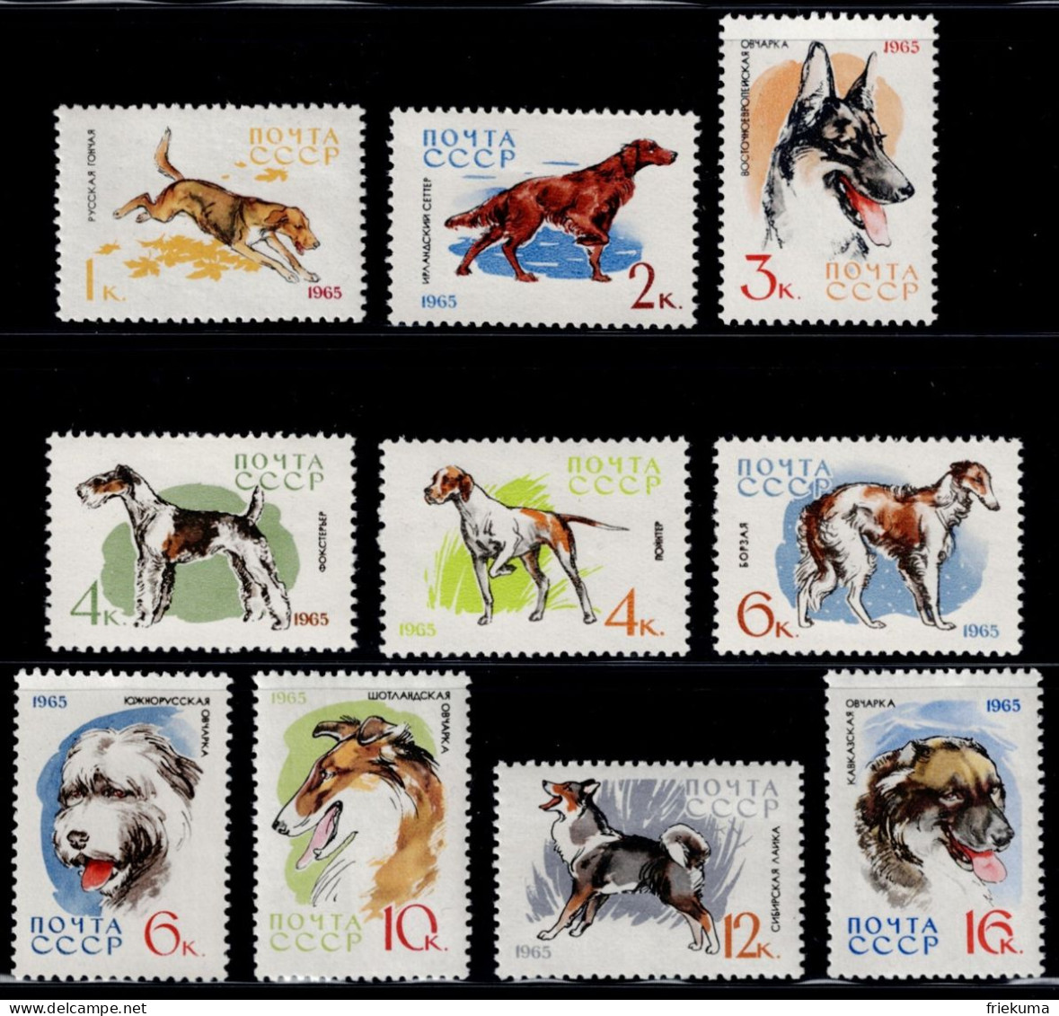 CCCP 1965, Service And Hunting Dogs: Russian Hound, Irish Setter, Eastern European Shepherd Dog, Etc., MiNr. 3020-3029 - Dogs