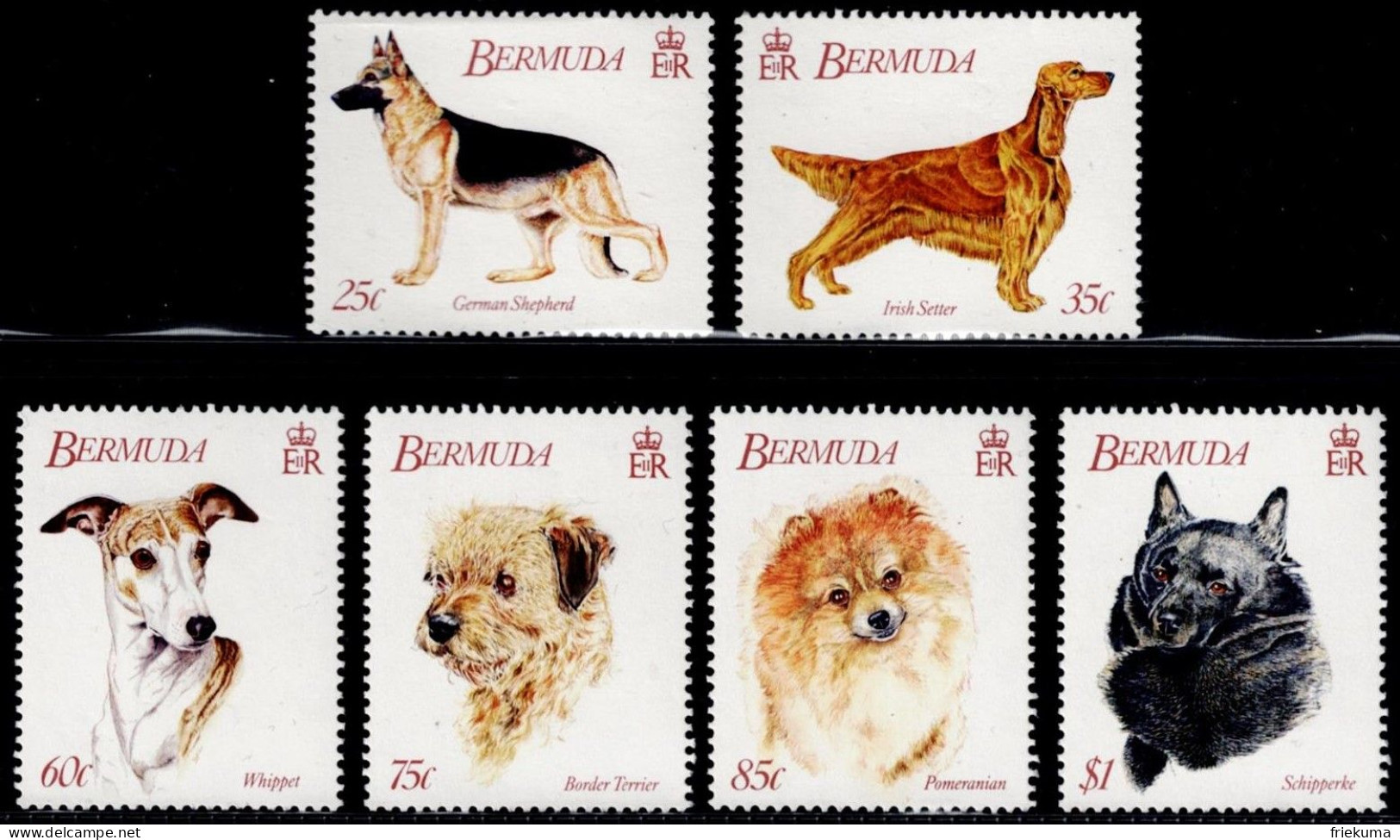 Bermuda 1992, Hunde/Chiens/Dogs: German Shepherd Dog, Irish Setter, Whippet, Terrier, Spitz, Schipperke, MiNr. 621-626 - Hunde