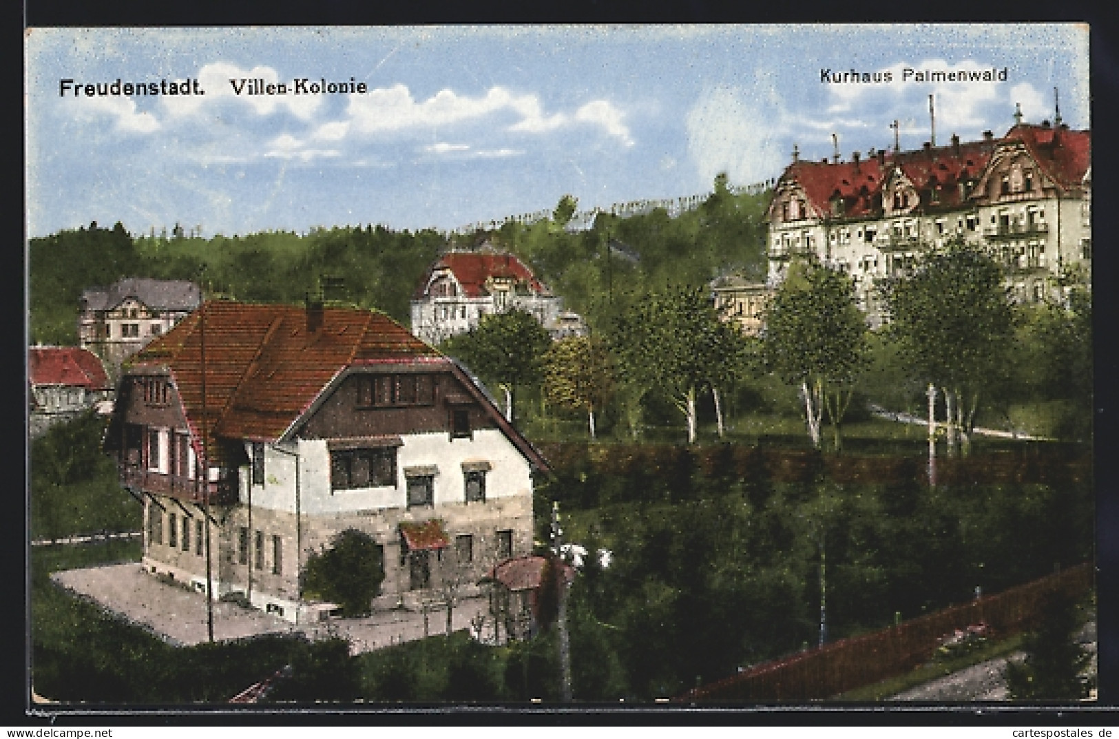 AK Freudenstadt, Villen-Kolonie Und Kurhotel Palmenwald  - Freudenstadt