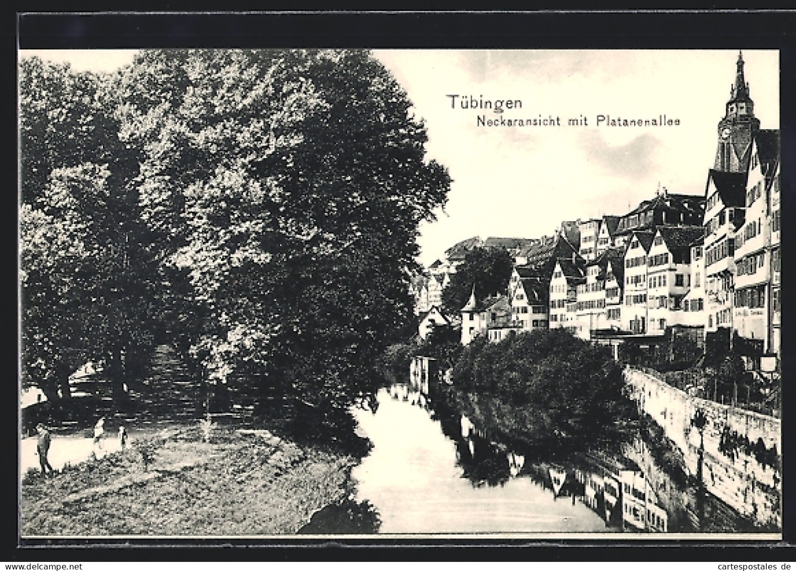 AK Tübingen, Neckaransicht Mit Platanenallee  - Tuebingen