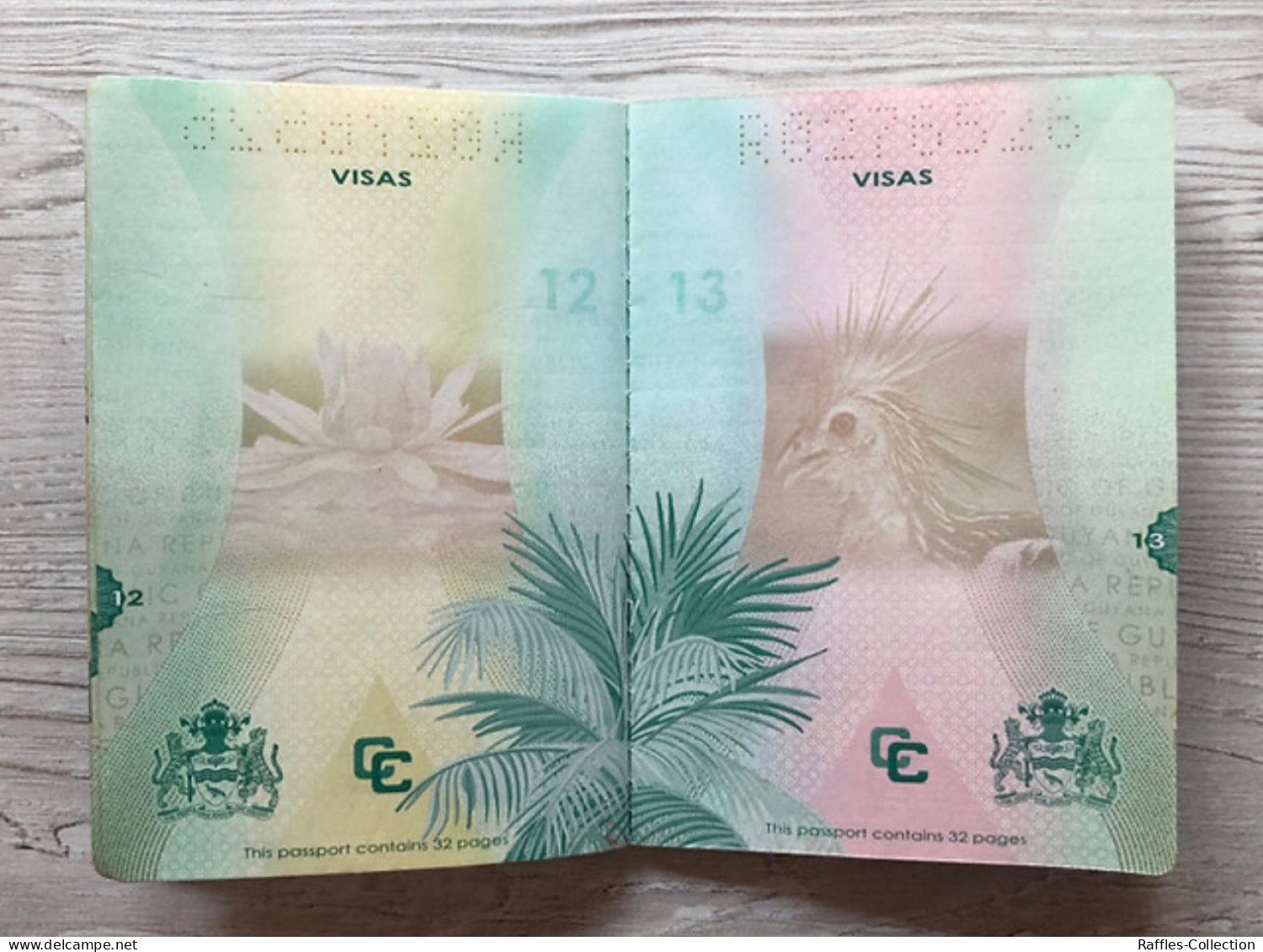 Guyana passport passeport reisepass pasaporte passaporto