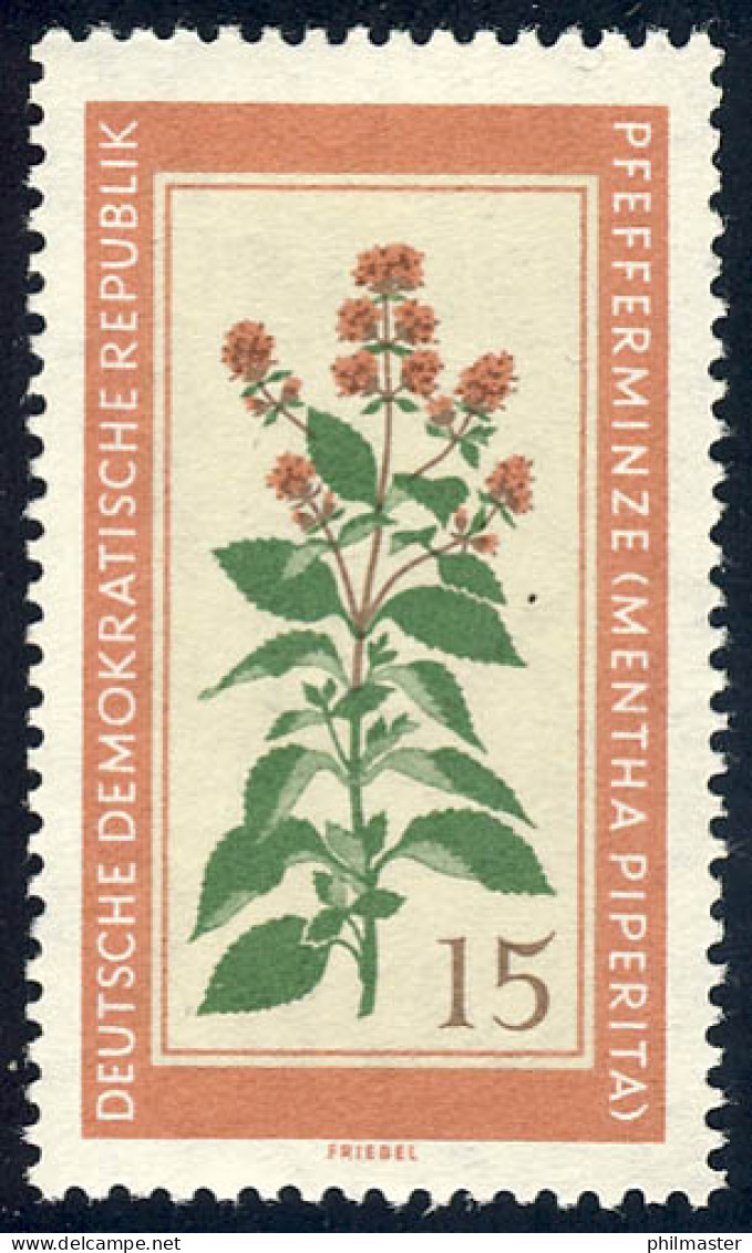 759 Heilpflanzen Pfefferminze 15 Pf ** - Unused Stamps