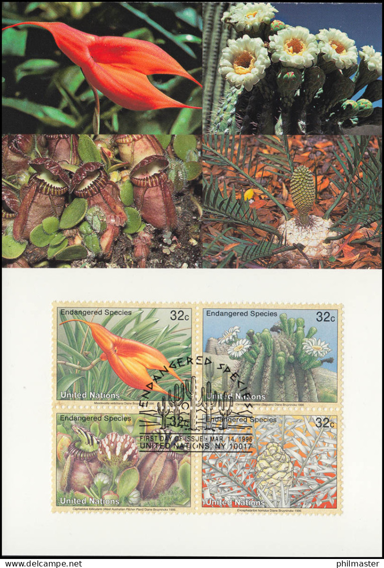 MK 38 Von UNO New York 707-710 Gefährdete Arten Flora 1996, Amtl. Maximumkarte  - Autres & Non Classés