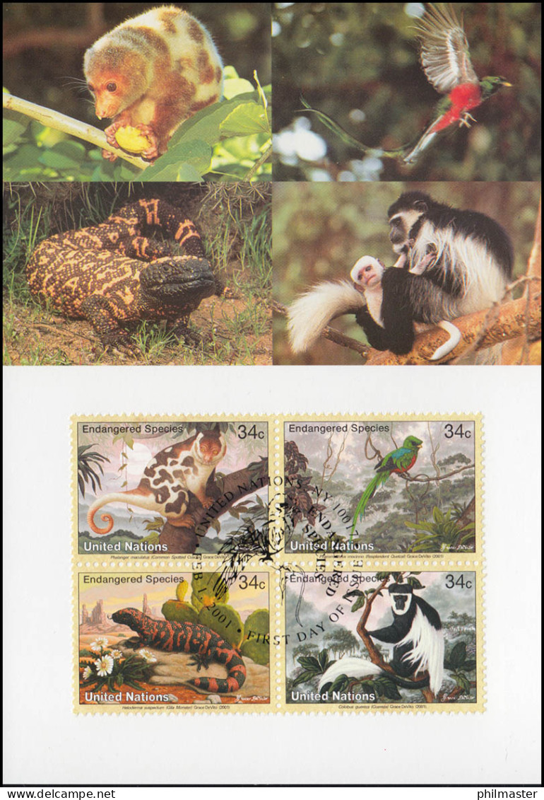 MK 65 Von UNO New York 856-859 Gefährdete Arten Fauna 2001, Amtl. Maximumkarte  - Autres & Non Classés