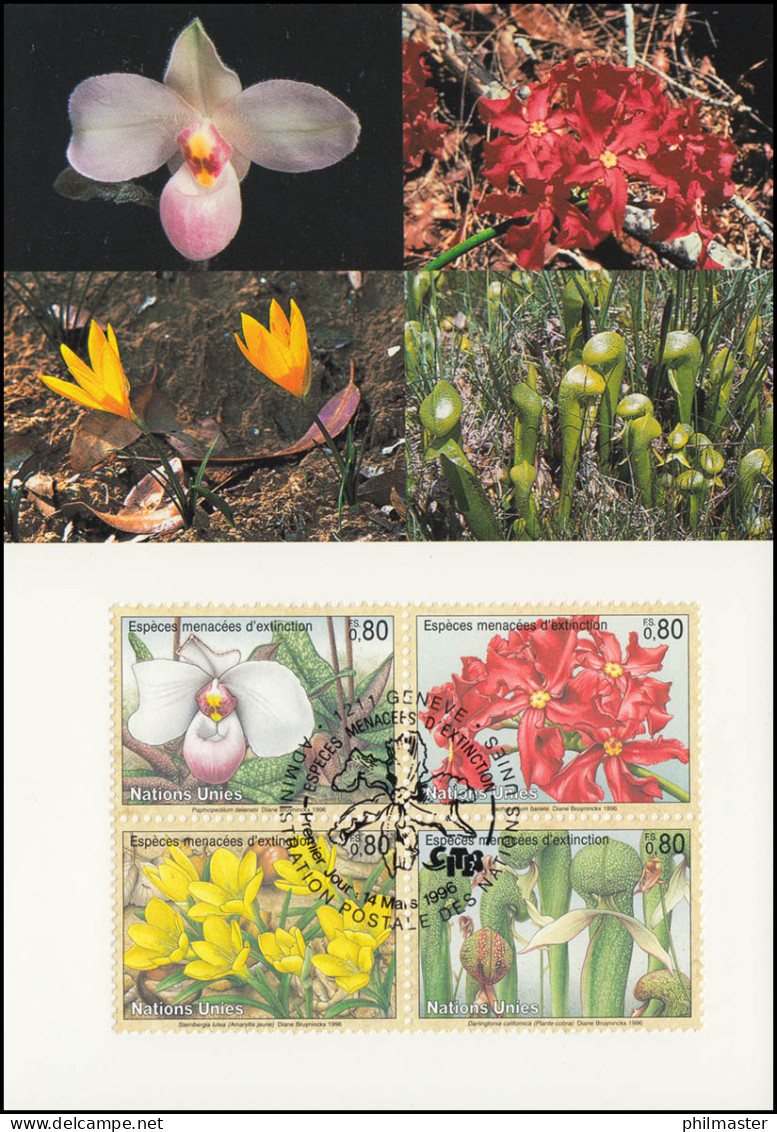 MK 39 Von UNO Genf 288-291 Gefährdete Arten Flora 1996, Amtliche Maximumkarte - Otros & Sin Clasificación