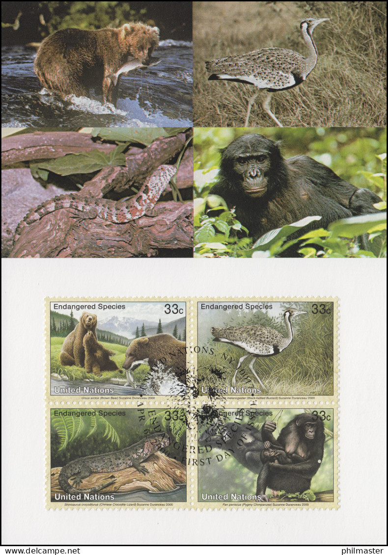 MK 62 Von UNO New York 831-834 Gefährdete Arten Fauna 2000, Amtl. Maximumkarte  - Andere & Zonder Classificatie