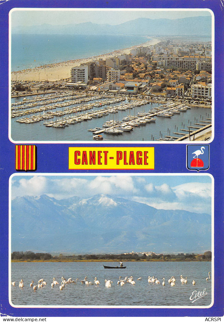 CANET PLAGE Port De Plaisance Et étang  30 (scan Recto Verso)ME2692BIS - Canet Plage