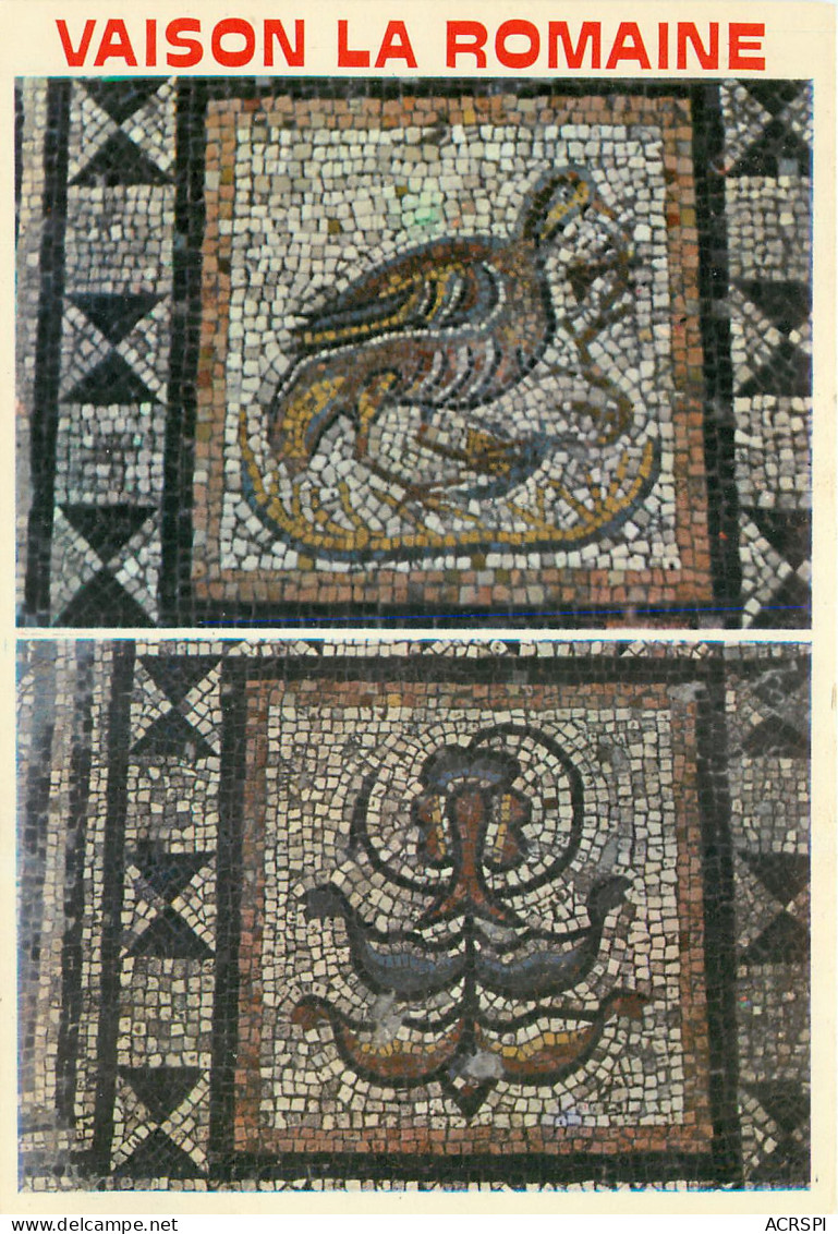 VAISON LA ROMAINE Fouilles Du Quartier De La Villasse Details De Mosaiques1 (scan Recto Verso)ME2697 - Vaison La Romaine