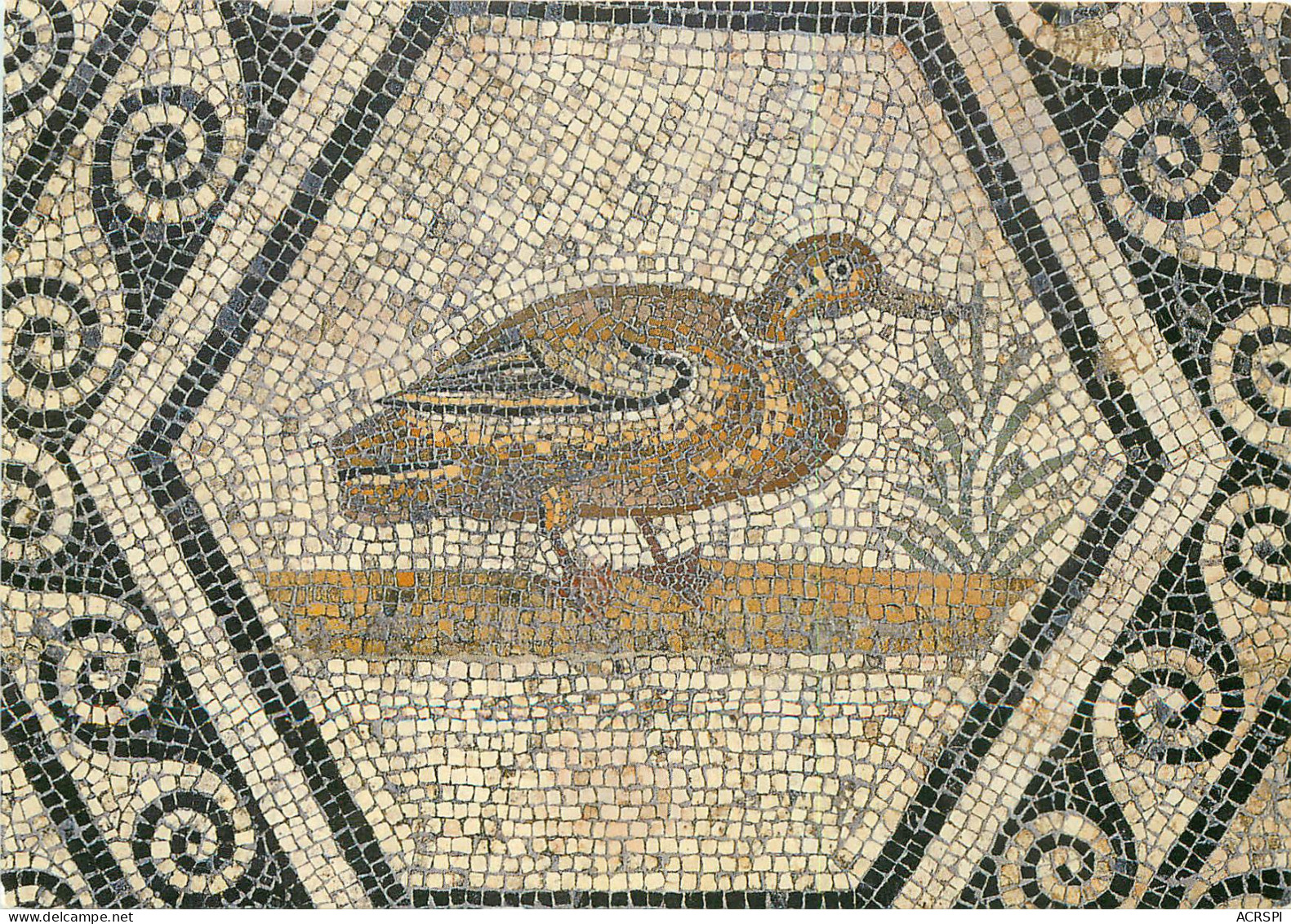 VAISON LA ROMAINE MUSEE ARCHEOLOGIQUE Canard 30(scan Recto Verso)ME2698 - Vaison La Romaine