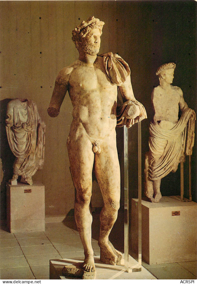 MUSEE DE VAISON LA ROMAINE 1 (scan Recto Verso)ME2699 - Vaison La Romaine