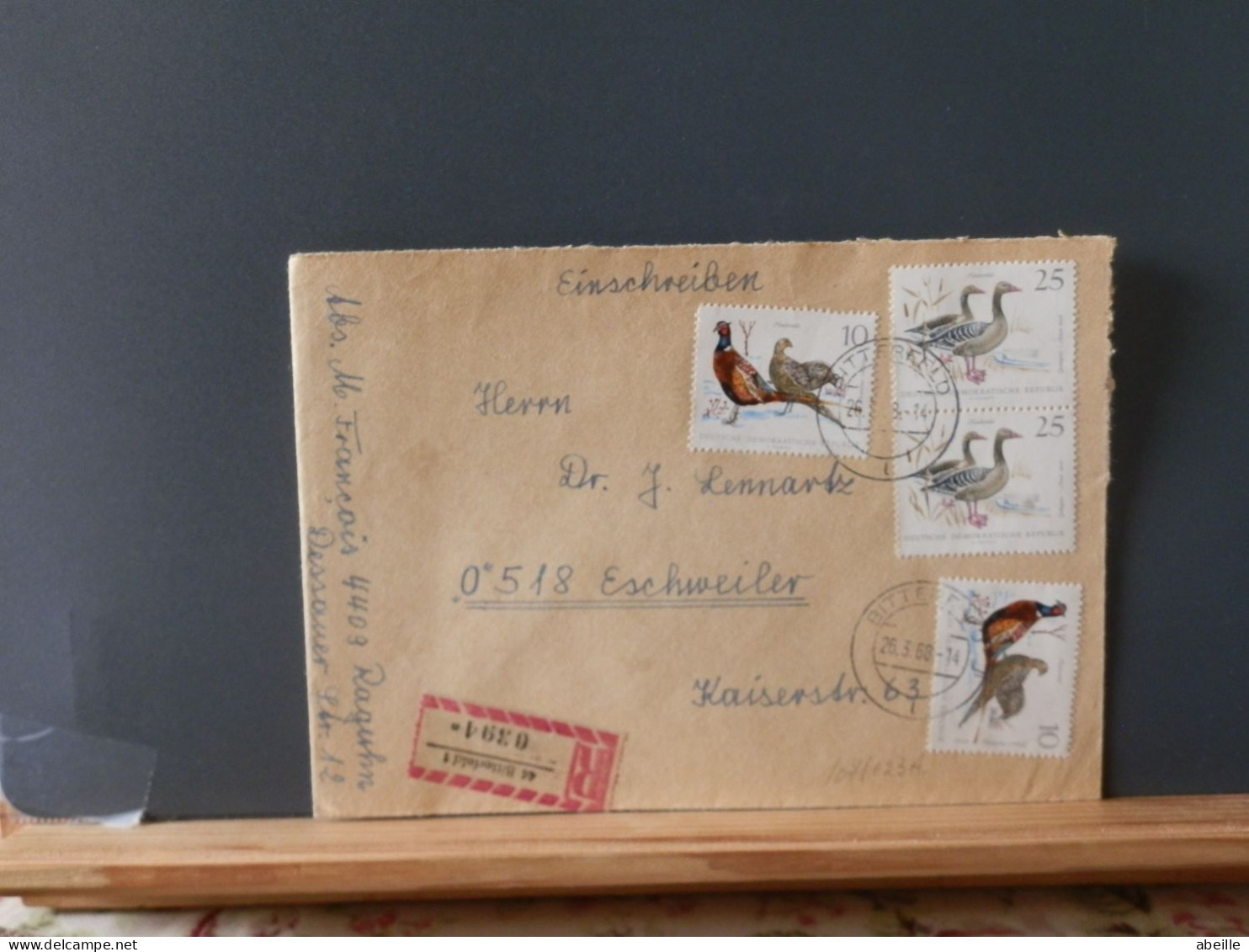 107/023A  LETTRE  DDR - Galline & Gallinaceo