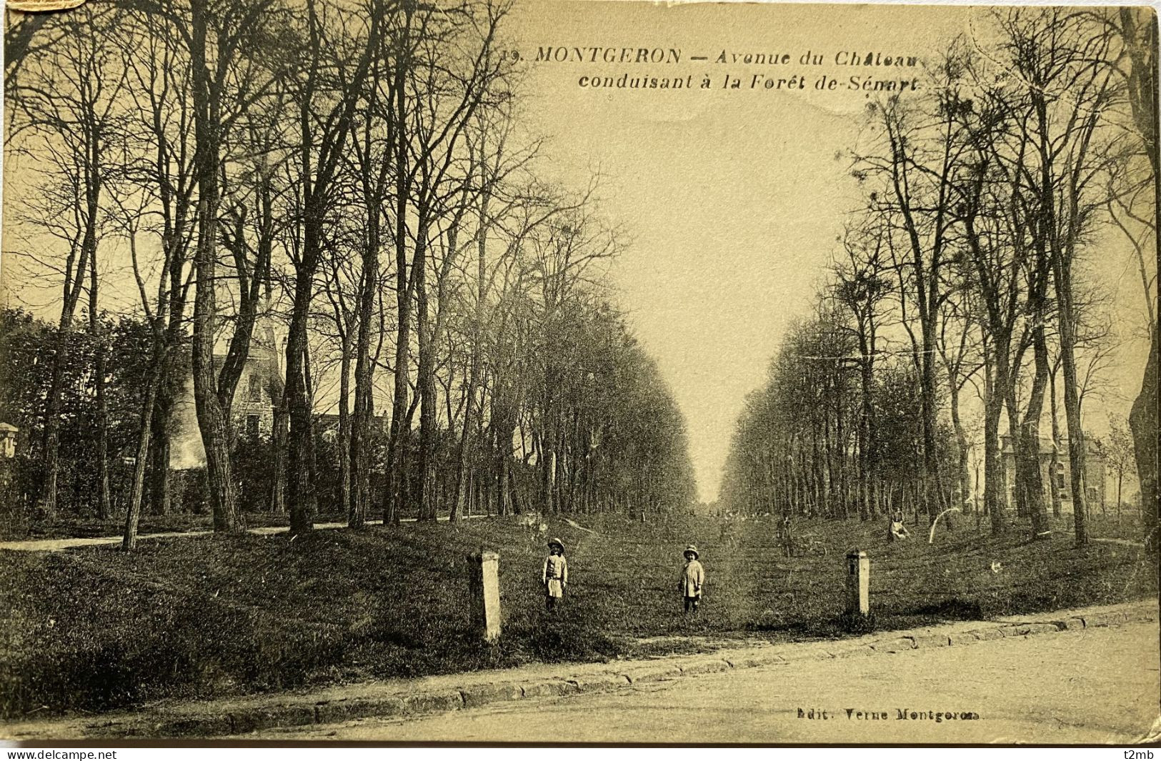 CPA MONTGERON (Essonne). Avenue Du Château Conduisant à La Forêt De Sénart - Montgeron