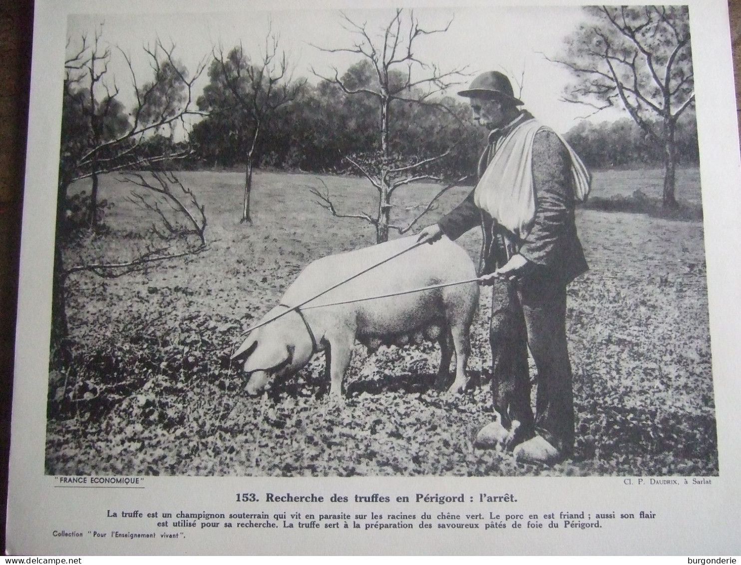 RECHERCHE DES TRUFFES EN PERIGORD :  L'ARRÊT - Géographie