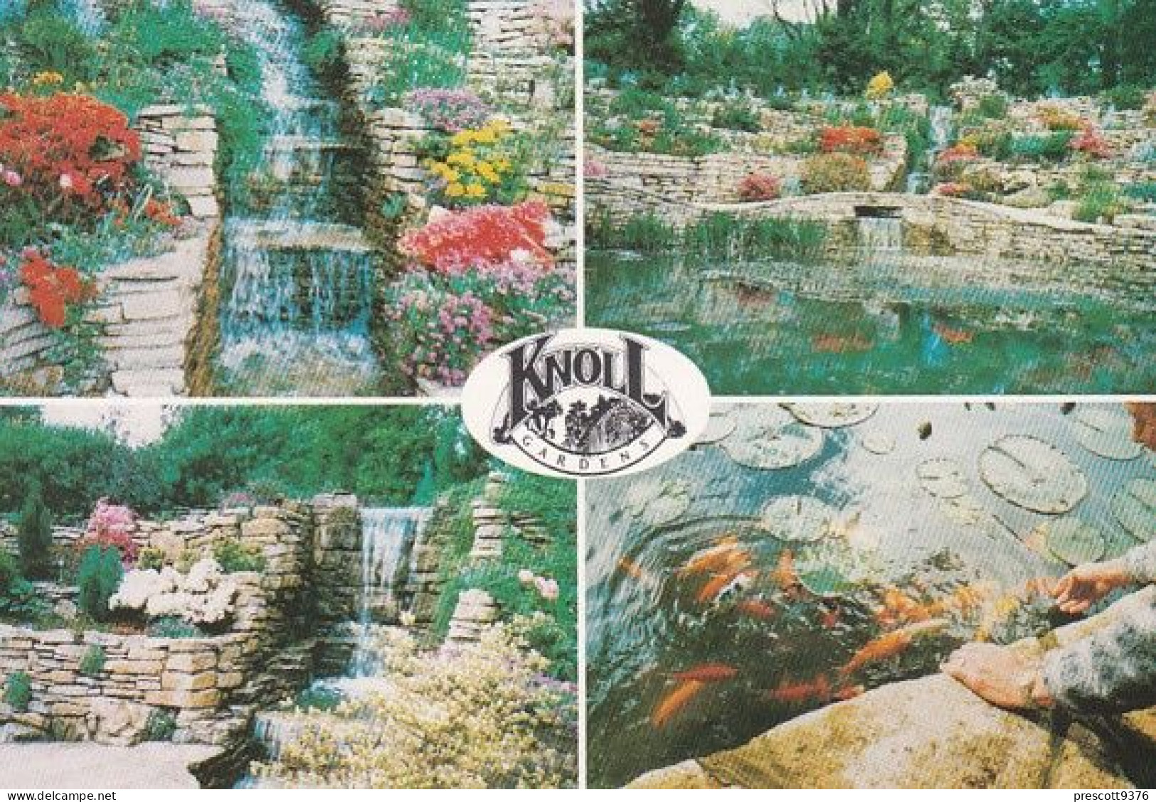Knoll Gardens Wimbourne - Multiview - Dorset - Unused Postcard - Dor3 - Sonstige & Ohne Zuordnung
