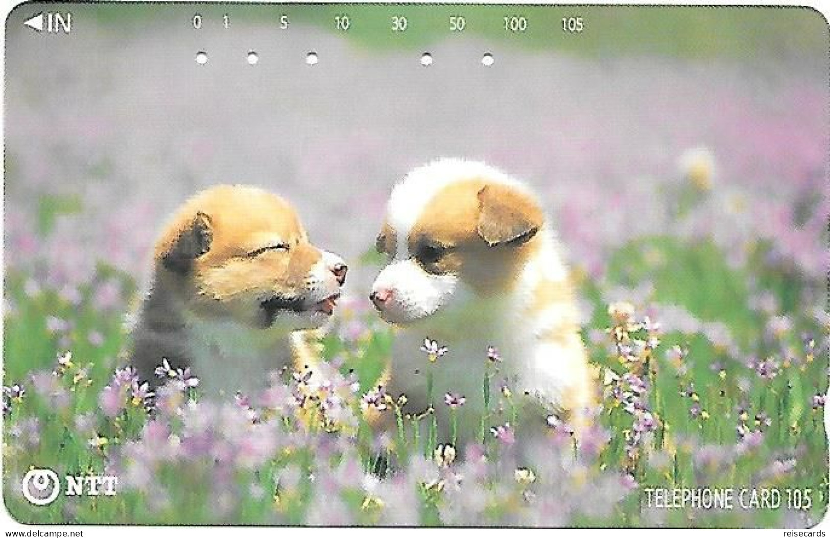 Japan: NTT - 111-059 Dogs In The Flower Field - Japon