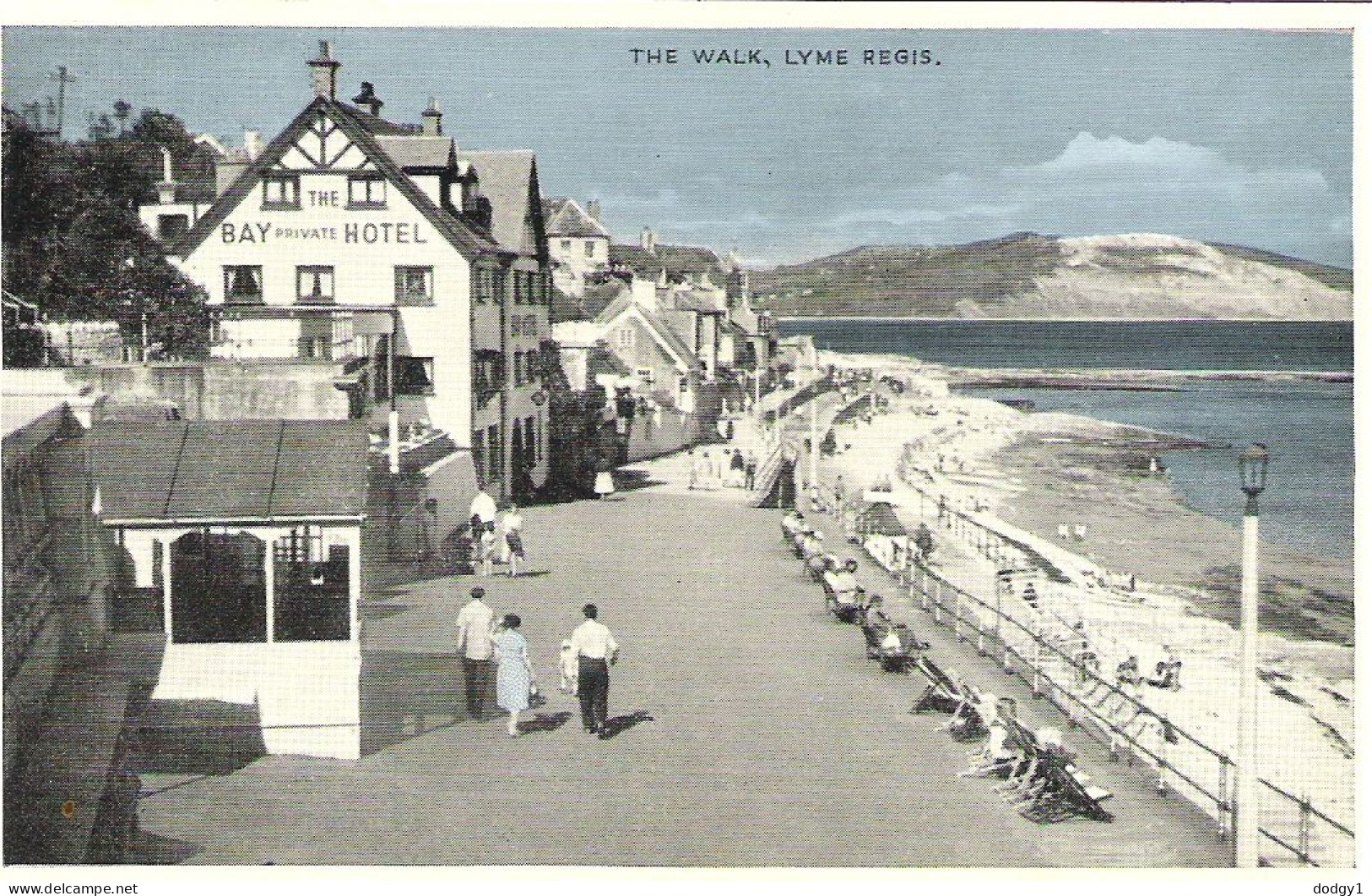 THE WALK, LYME REGIS, DORSET, ENGLAND. UNUSED POSTCARD Ms7 - Other & Unclassified