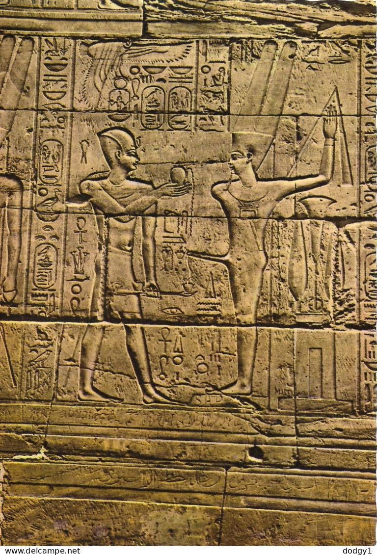 RAMSES II, LUXOR, EGYPT. UNUSED POSTCARD   Ms7 - Luxor