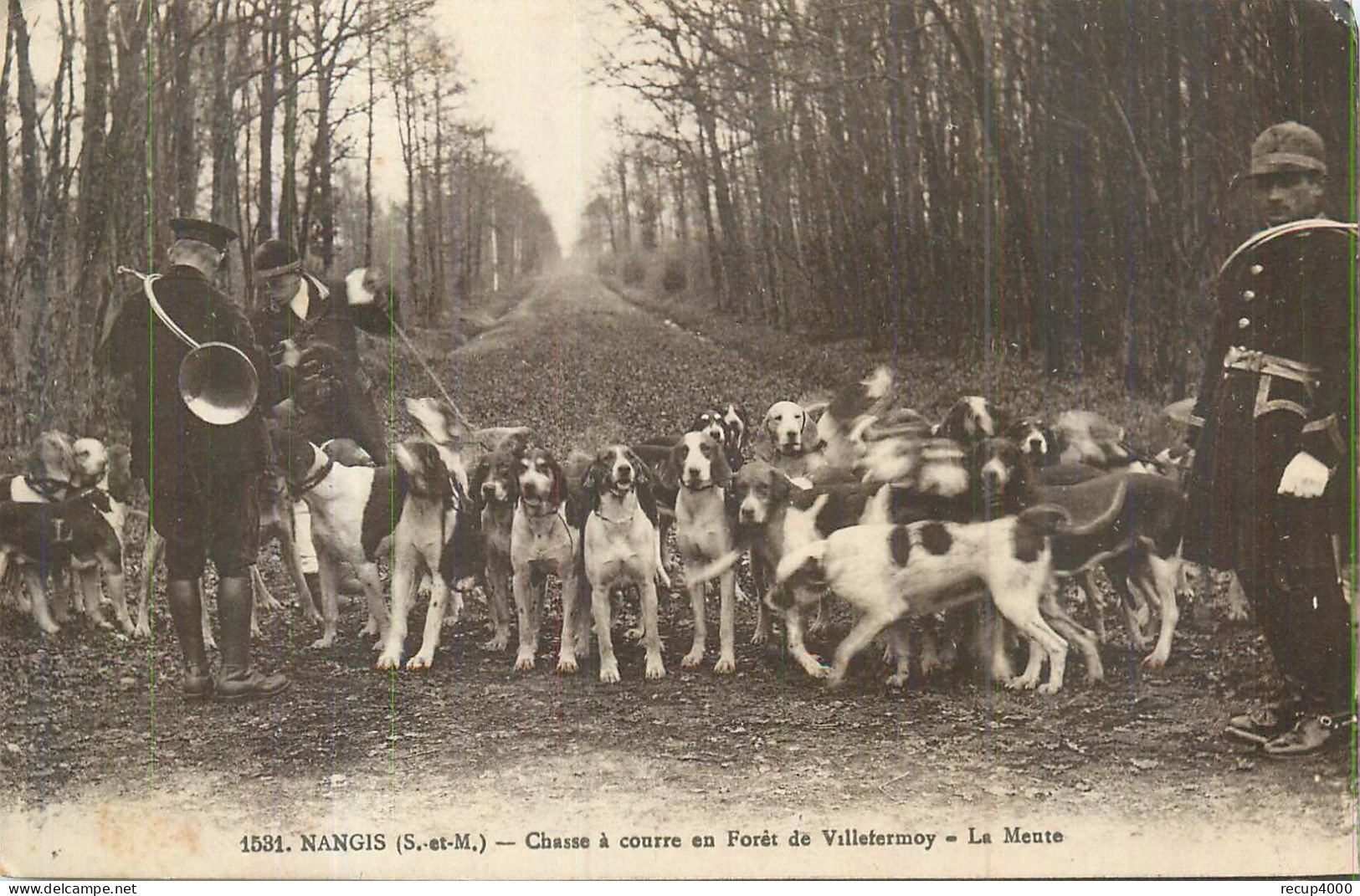 77 NANGIS  Chasse à Courre En Forêt De Villeformoy La Meute  2 Scans - Nangis