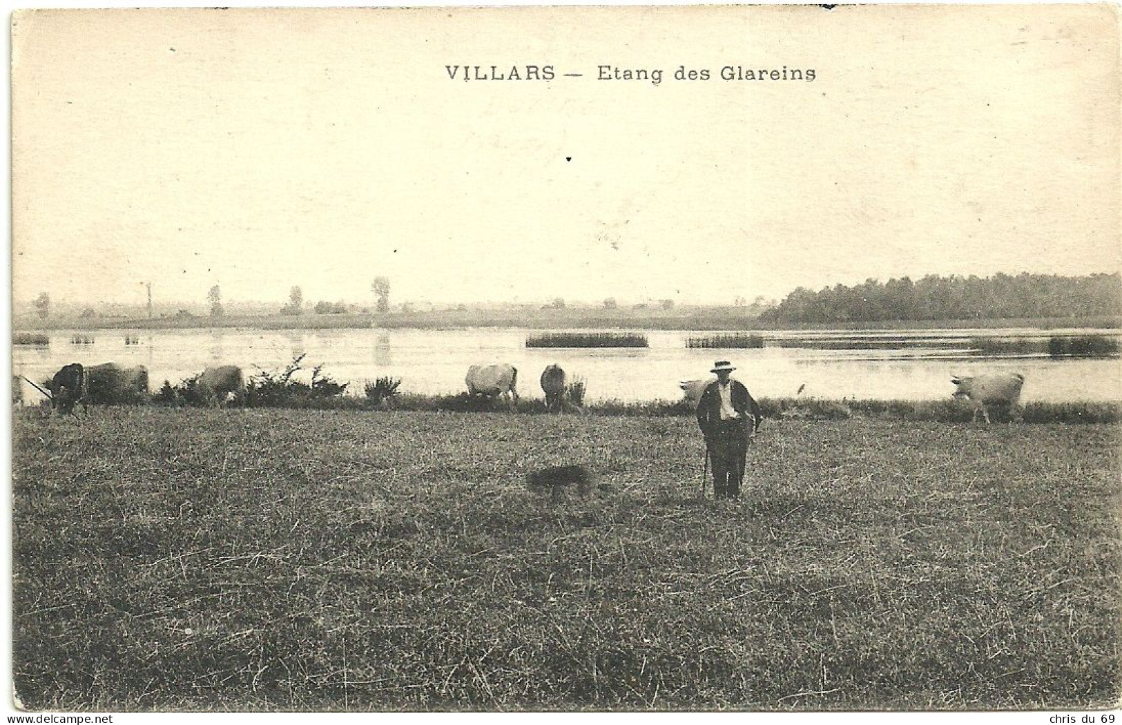 Villars Les Dombes Etang Des Glareins - Villars-les-Dombes