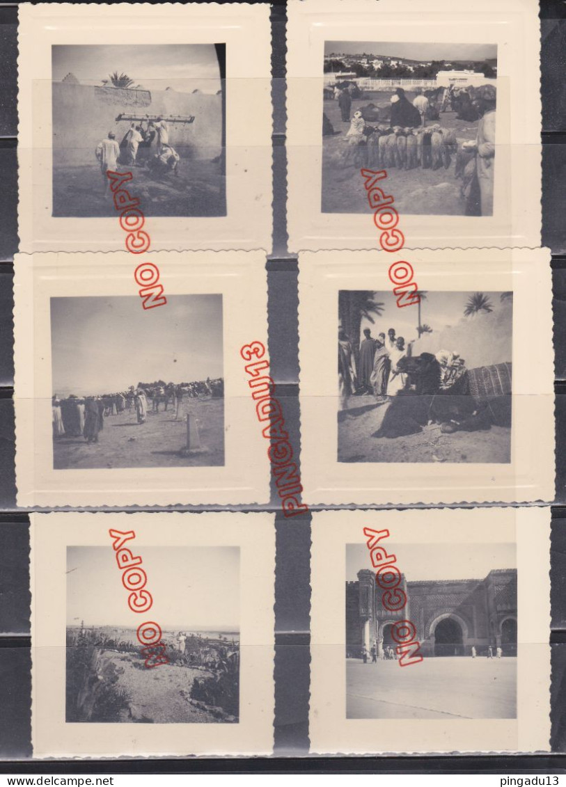 Fixe Afrique Du Nord Voyage Années 50 Lot 13 Photos Format 8 Par 8 Cm Très Bon état - Afrique