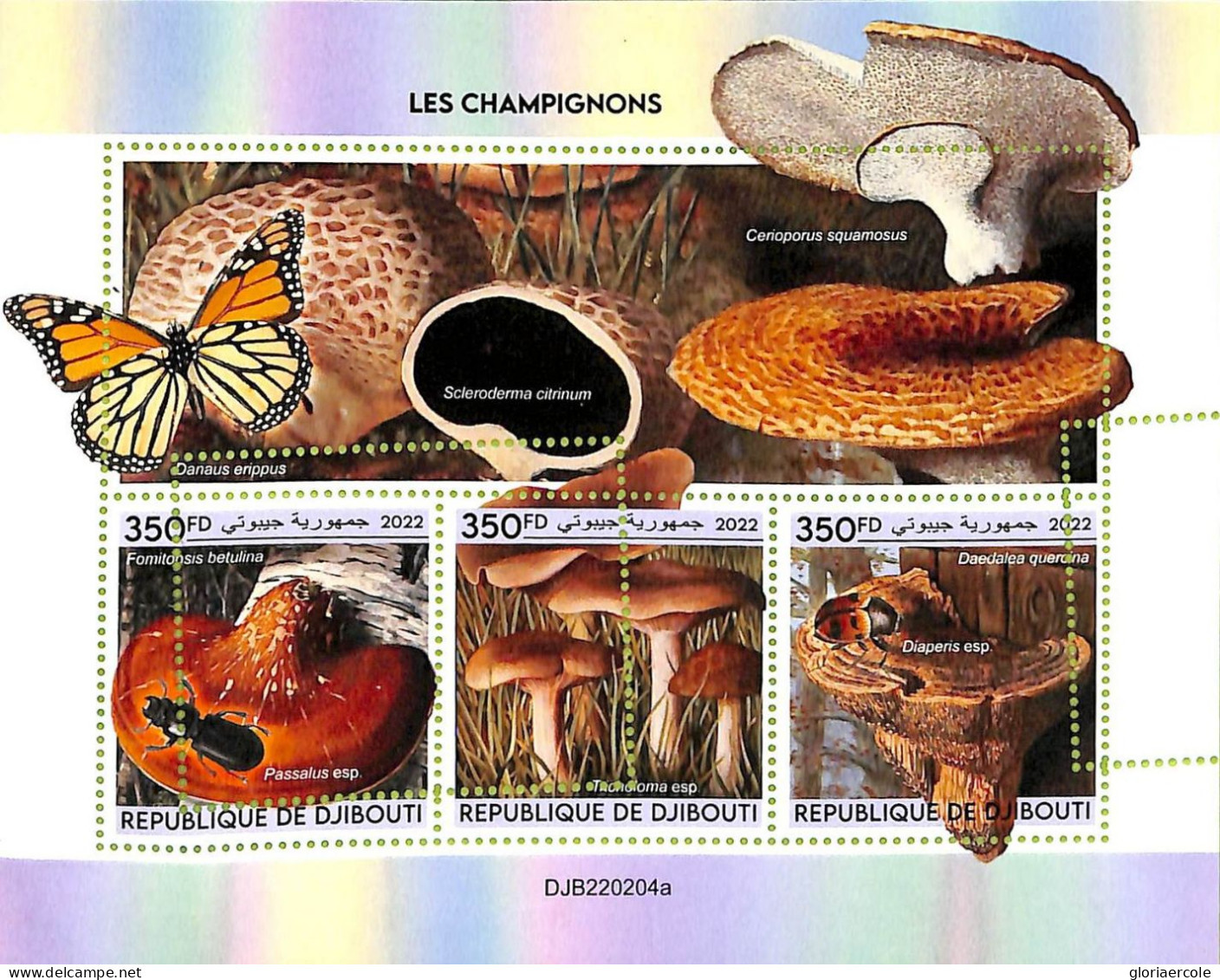 A7438 - DJIBOUTI - ERROR MISPERF Stamp Sheet - 2022 - Mushrooms - Champignons