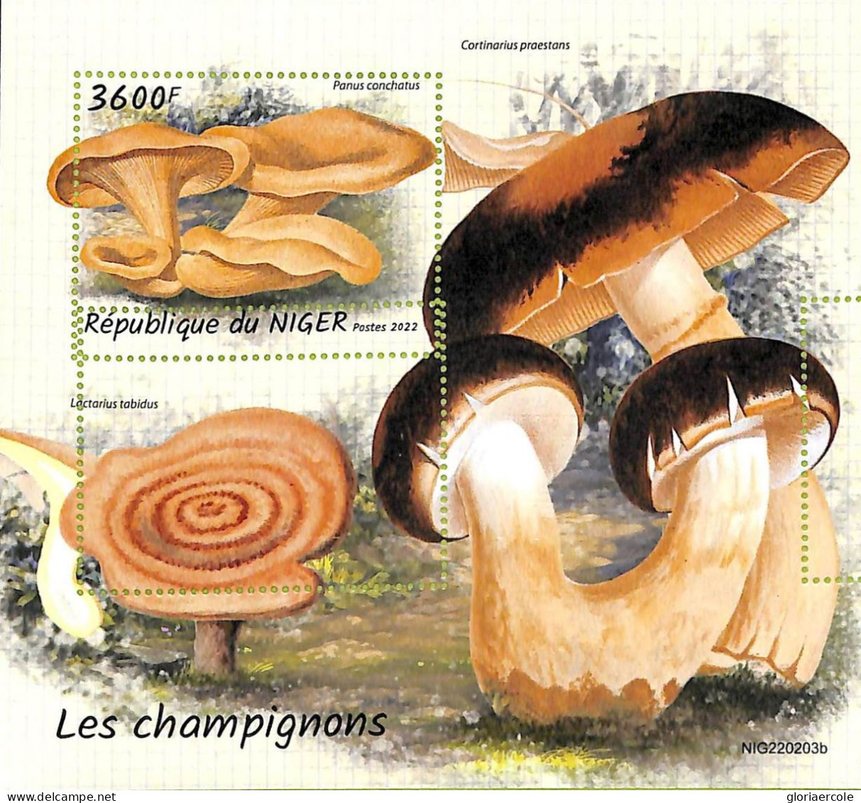 A9219 - NIGER - ERROR MISPERF Stamp Sheet -  2022 - Mushrooms, Nature - Mushrooms