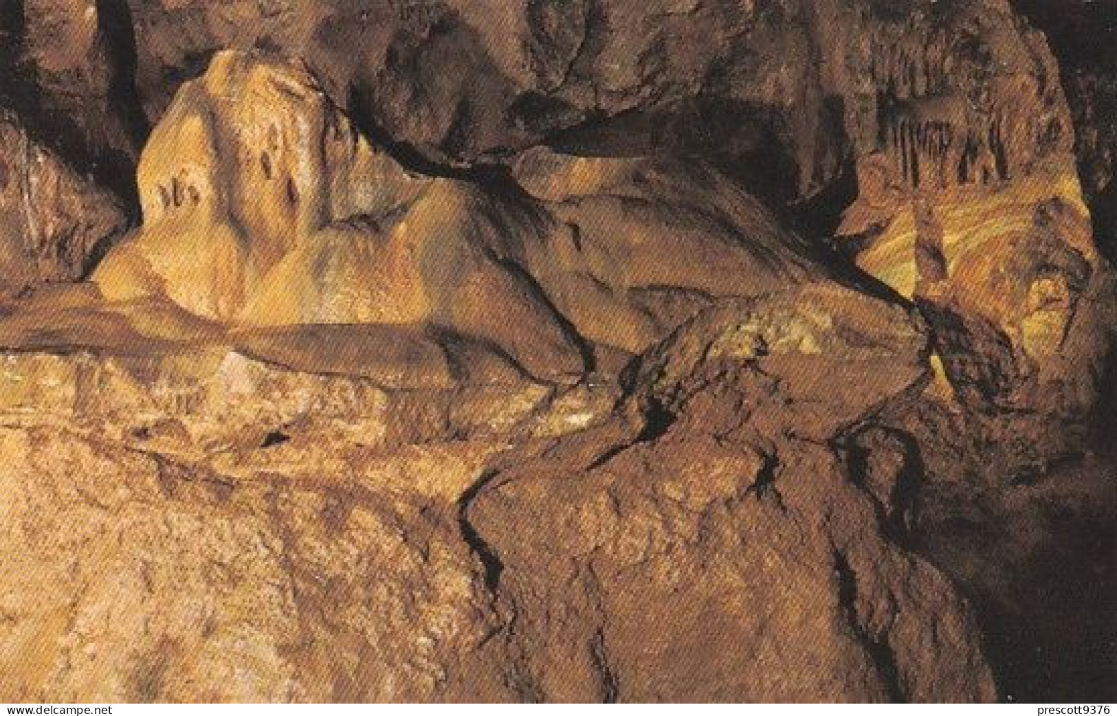 The Lion, Kents Cavern, Torquay- Devon - Unused Postcard - Dev1 - Torquay