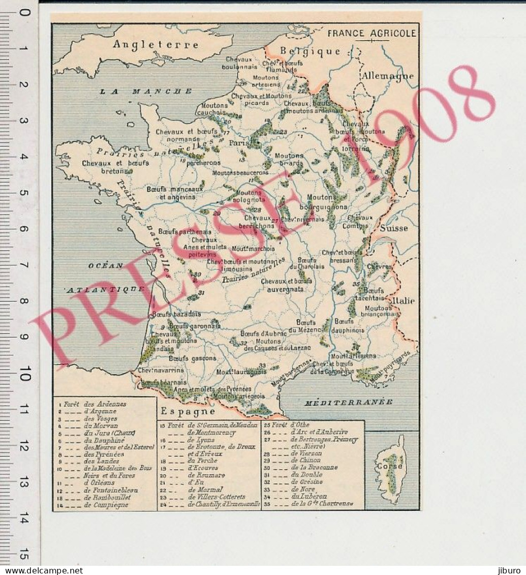 Carte Géographique 1908 France Elevage Boeufs Mézenc Manceaux Auvergnats Tarantais Chevaux Vaches Moutons Races Forêts - Other & Unclassified