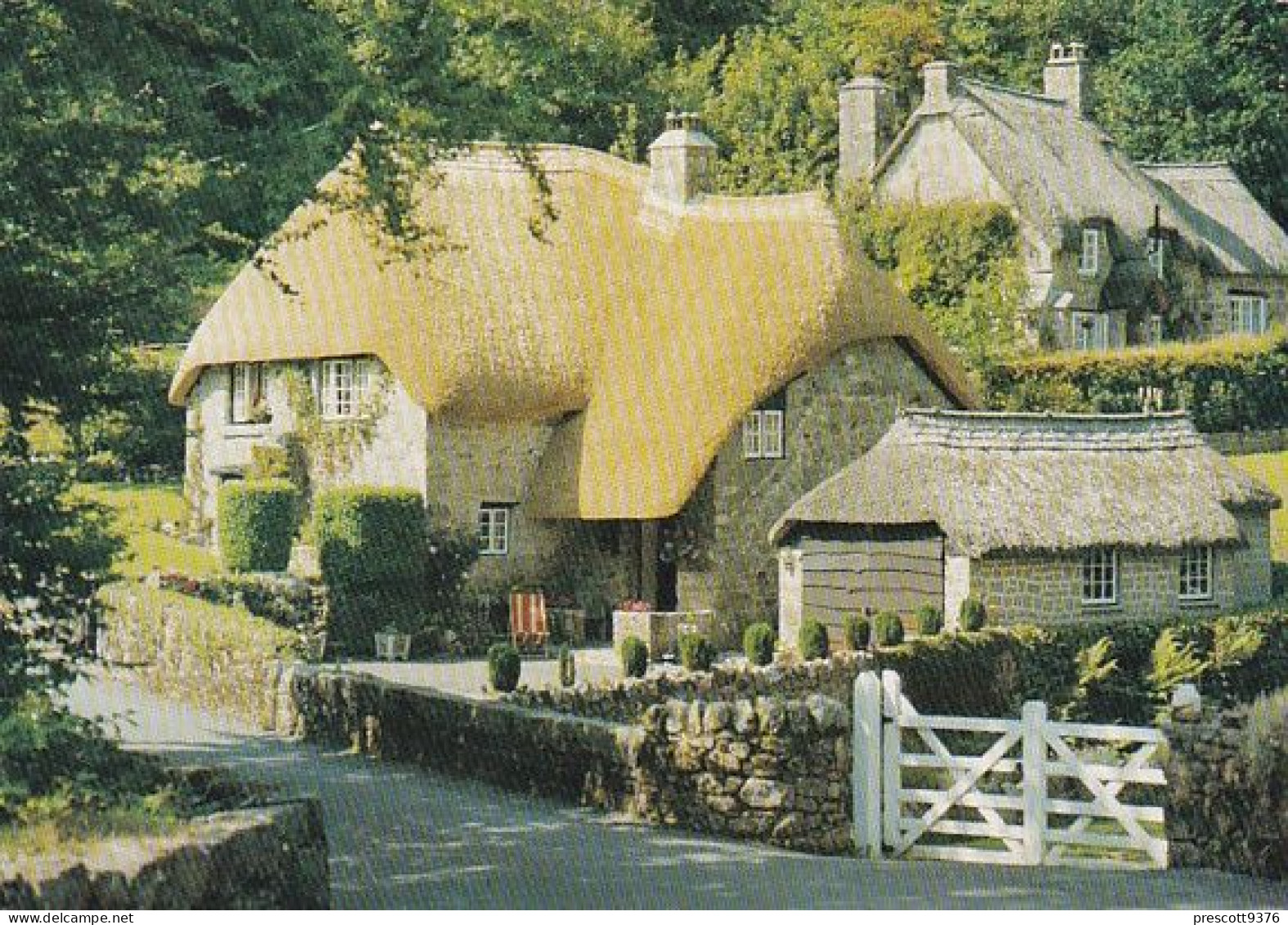 Buckland In The Moor, Cottage - Devon - Unused Postcard - Dev1 - Torquay