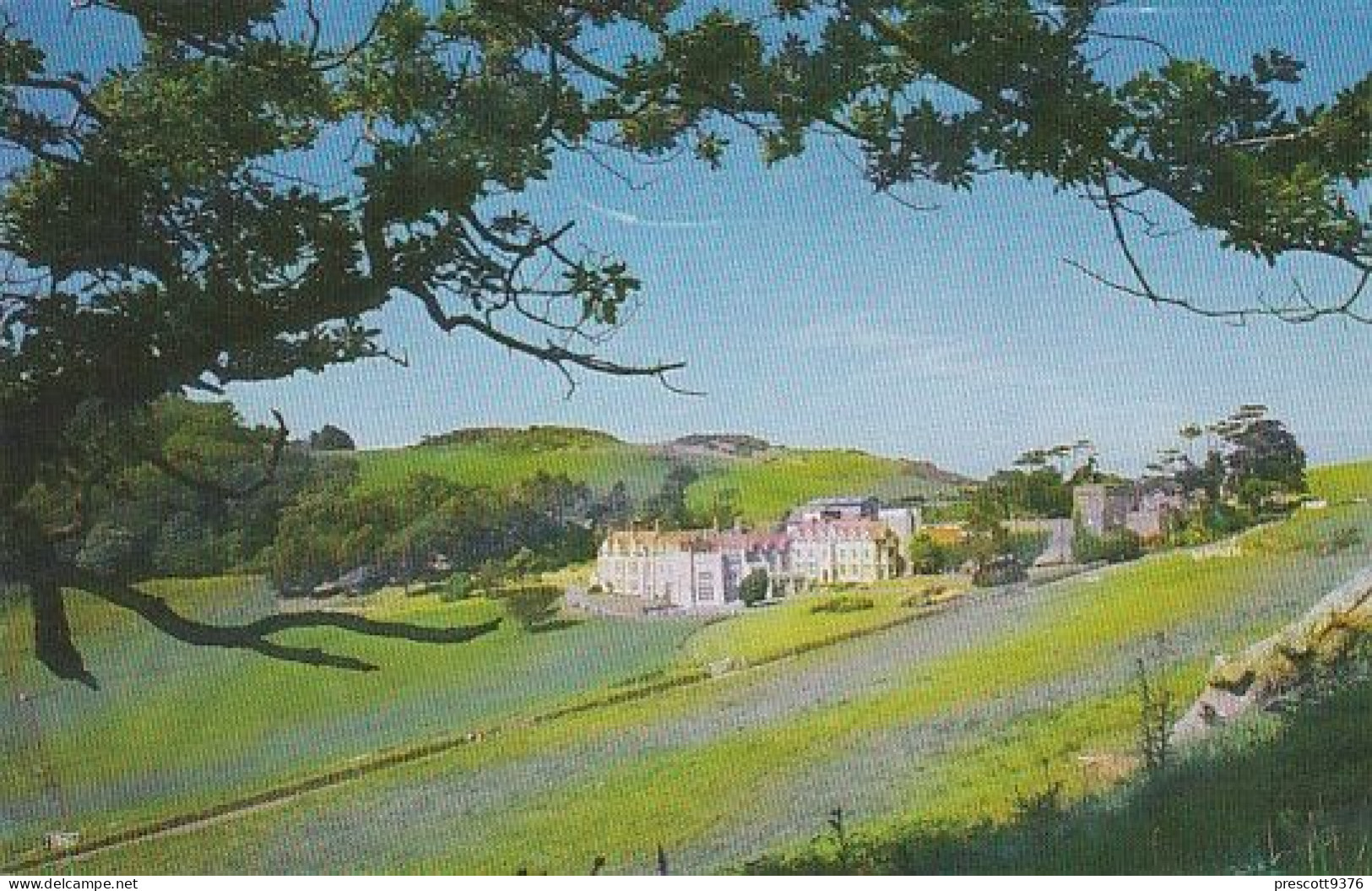 Lynton Abbey - Devon - Unused Postcard - Dev1 - Lynmouth & Lynton