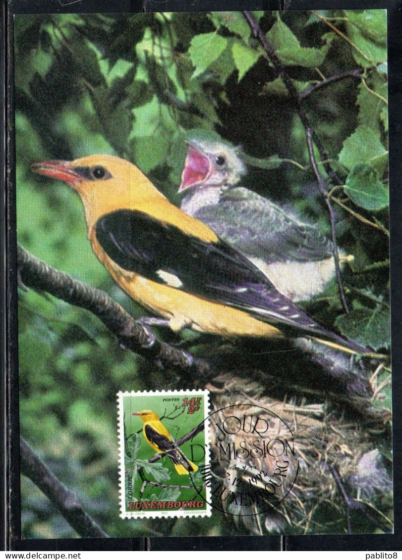 LUXEMBOURG LUSSEMBURGO 1992 ENDANGERD BIRDS GOLDEN ORIOLE BIRD 14 + 2fr MAXI MAXIMUM CARD - Maximum Cards