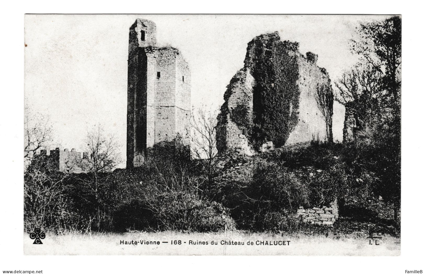 Ruines Du Château De Chalucet - Sonstige & Ohne Zuordnung