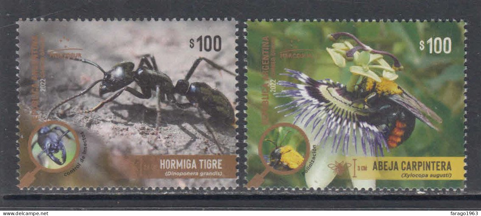 2022 Argentina Insects MERCOSUR JOINT ISSUE Complete Set Of 2 MNH - Unused Stamps