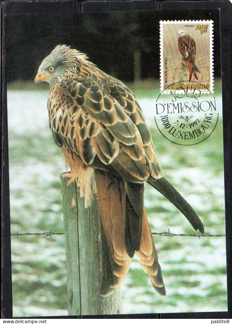 LUXEMBOURG LUSSEMBURGO 1992 ENDANGERD BIRDS RED KITE BIRD 22 + 7fr MAXI MAXIMUM CARD - Cartes Maximum