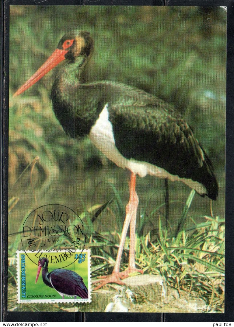 LUXEMBOURG LUSSEMBURGO 1992 ENDANGERD BIRDS BLACK STORK BIRD 18 + 3fr MAXI MAXIMUM CARD - Maximumkaarten
