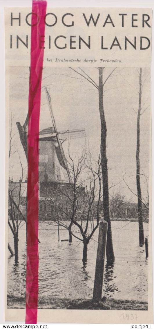 Terheyden - Overstromingen, Molen  - Orig. Knipsel Coupure Tijdschrift Magazine - 1937 - Ohne Zuordnung