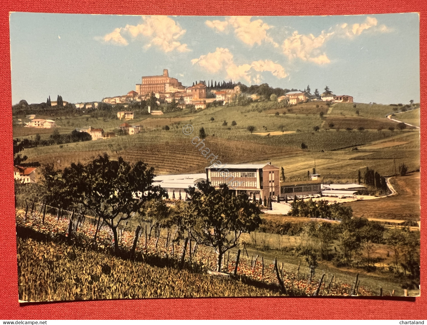 Cartolina - S. Giorgio Monferrato ( Alessandria ) - Panorama - 1970 Ca. - Alessandria