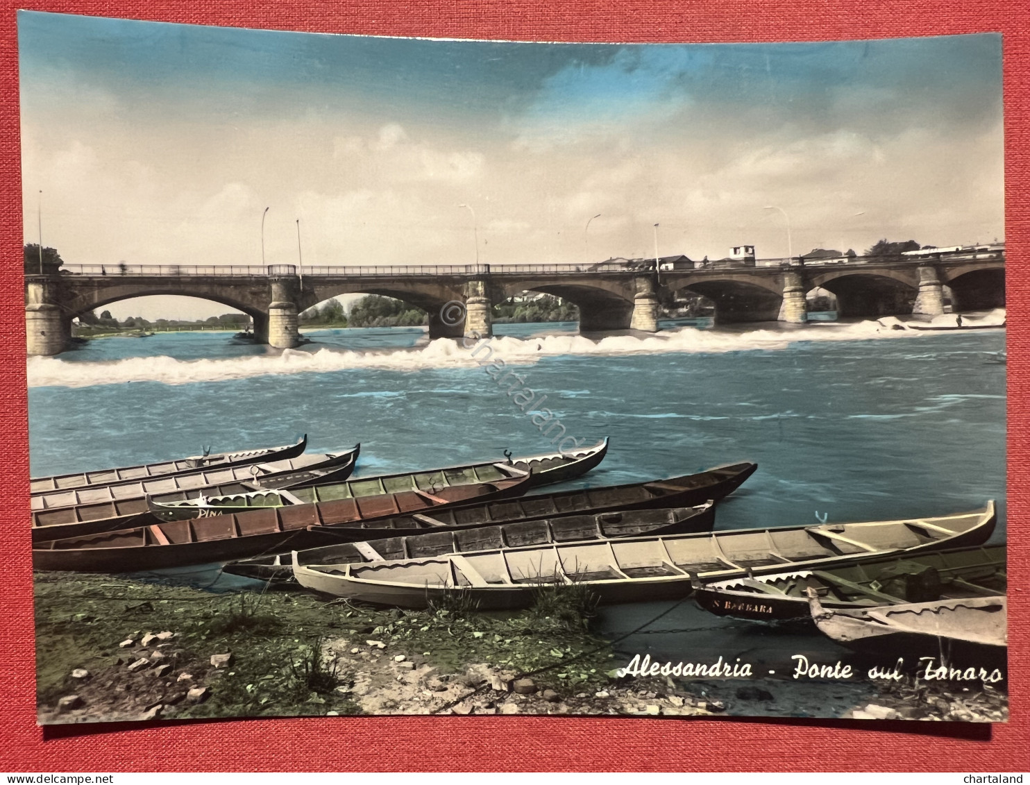 Cartolina - Alessandria - Ponte Sul Tanaro - 1960 Ca. - Alessandria