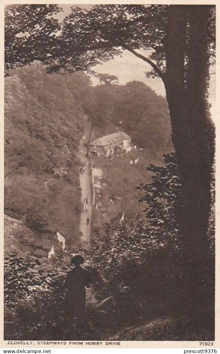 Clovelly Steepway  - Devon - Unused Postcard - Dev2 - Clovelly