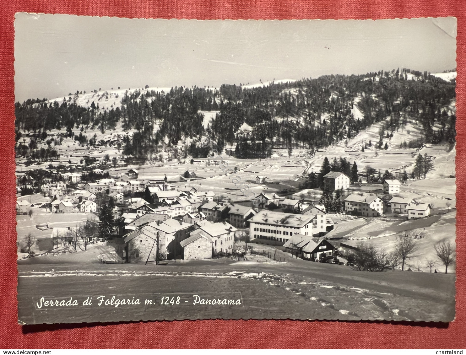 Cartolina - Serrada Di Folgaria ( Trento ) - Panorama - 1950 Ca. - Trento