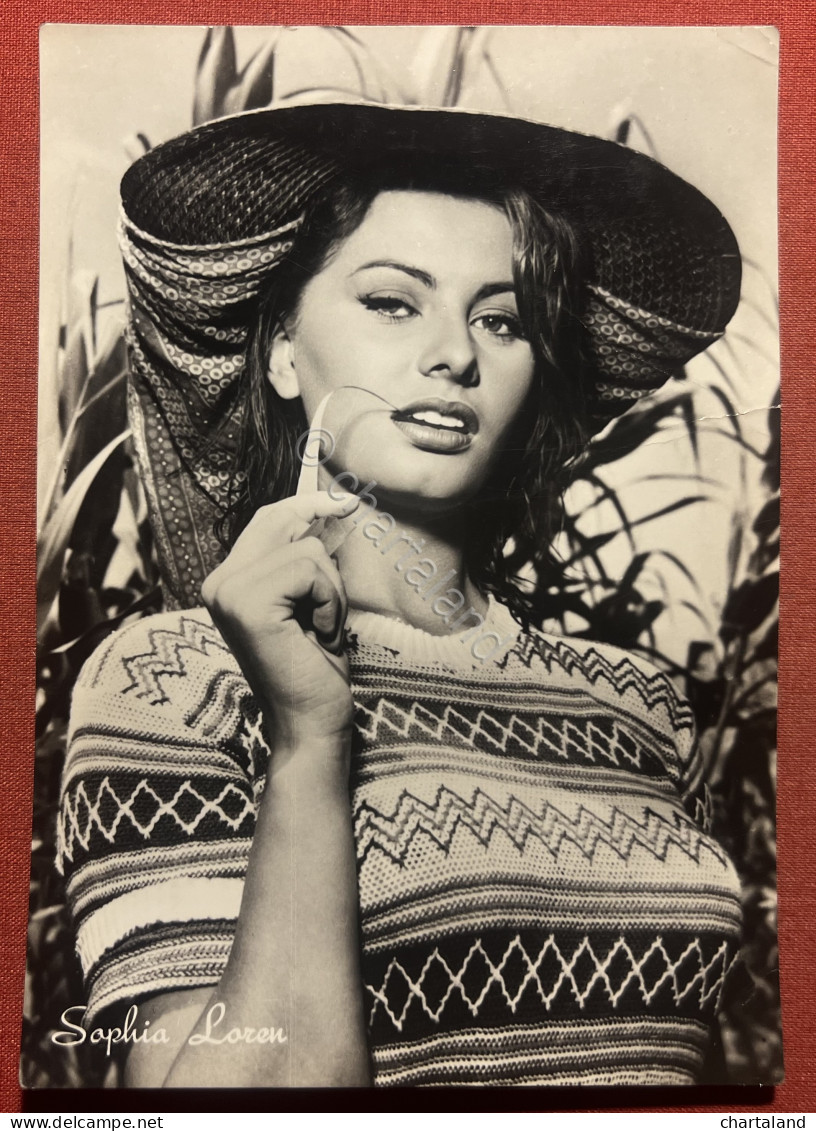 Cartolina Cinema Teatro - Attrice Sophia Loren 1955 Ca. - Andere & Zonder Classificatie