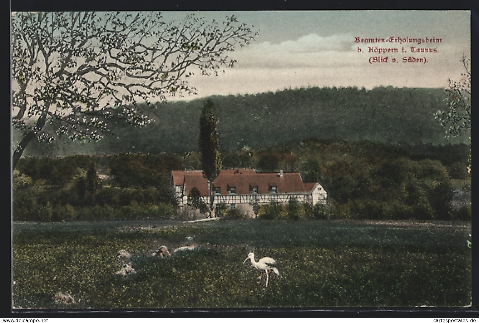 AK Köppern I. Taunus, Beamten-Erholungsheim Mit Storch  - Taunus