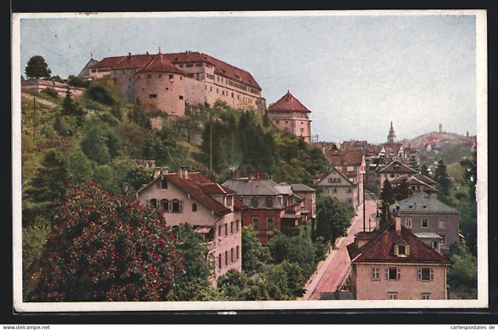 AK Tübingen, Blick Auf Die Neckarhalde Und Schloss  - Tübingen