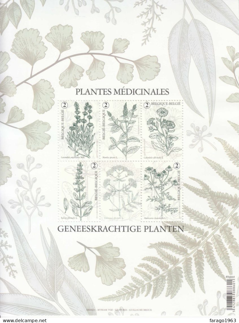 2022 Belgium Medicinal Plants Health Miniature Sheet Of 6 MNH - Nuevos