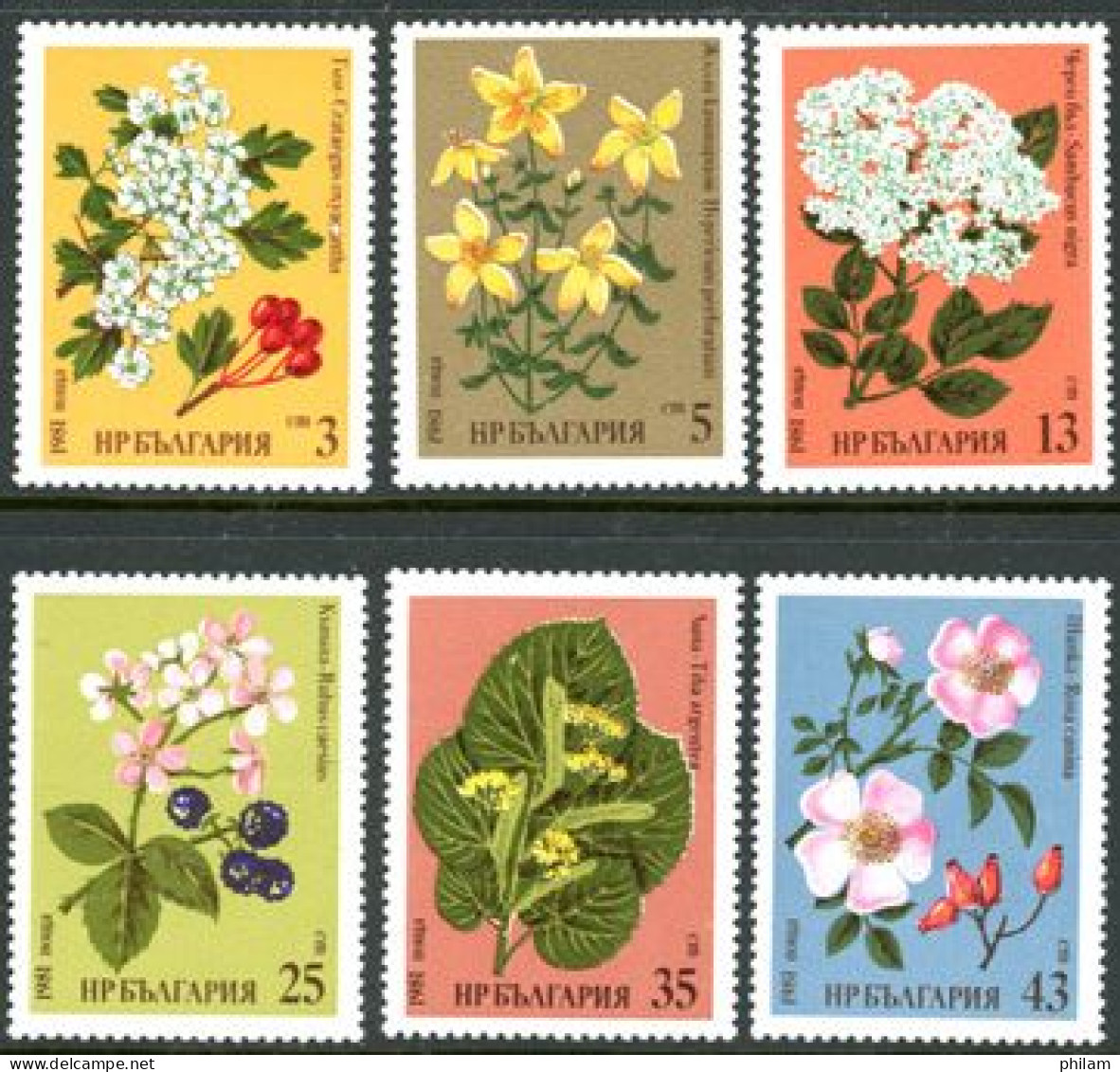BULGARIE 1981 - Plantes Médicinales - 6 V. - Unused Stamps