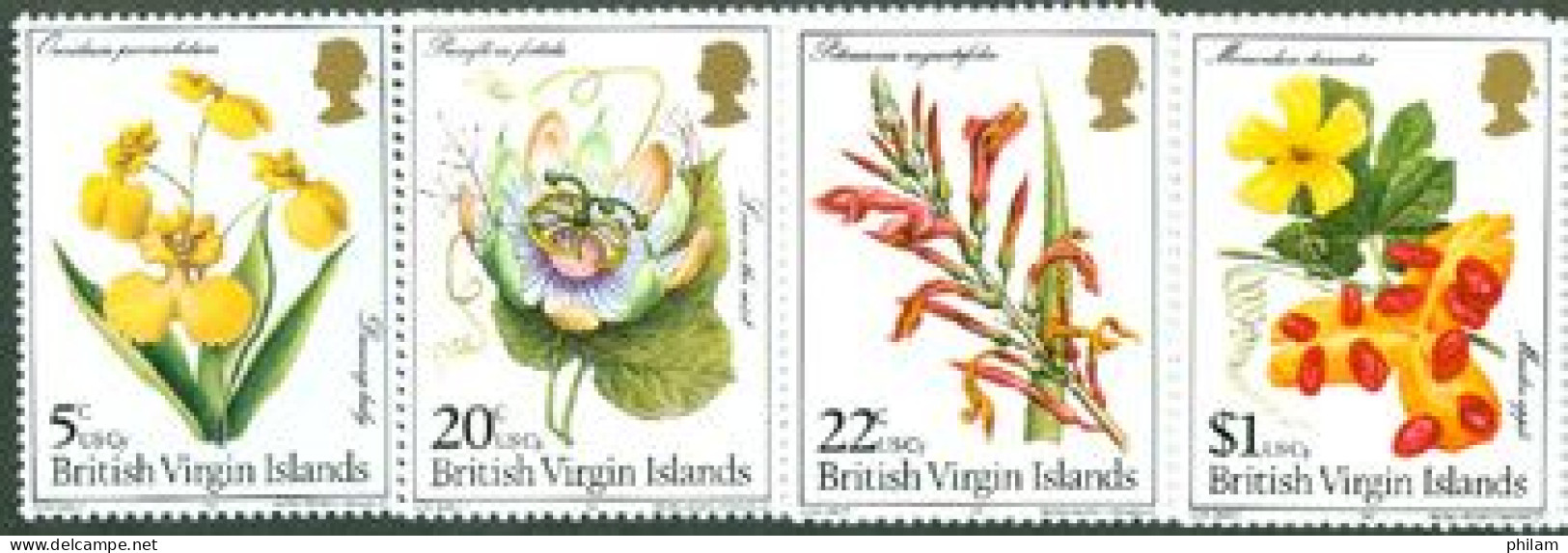 BRITISH VIRGIN 1981 - Fleurs Locales - 5 V. - British Virgin Islands
