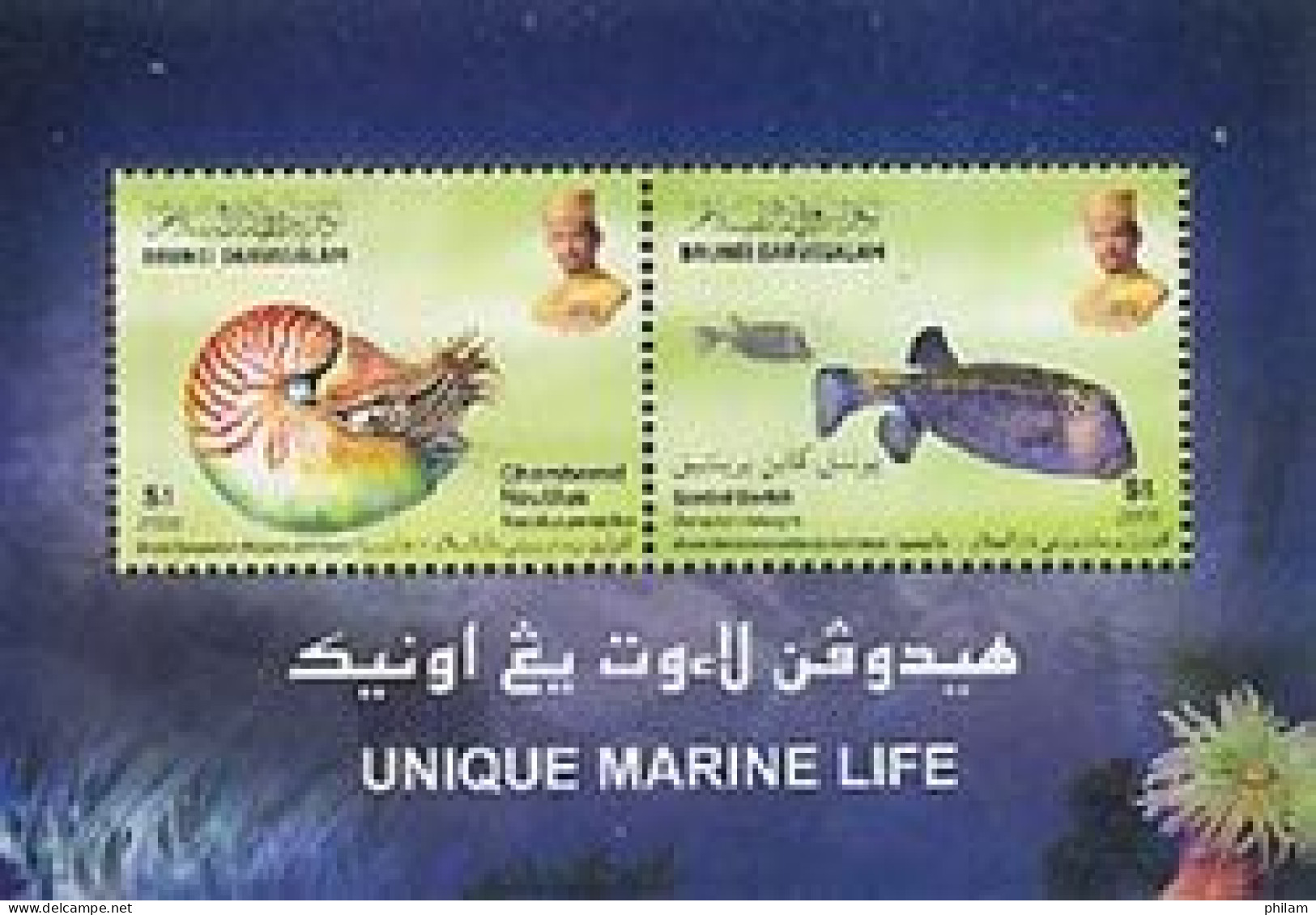 BRUNEI 2007 - Vie Marine Unique - BF - Brunei (1984-...)