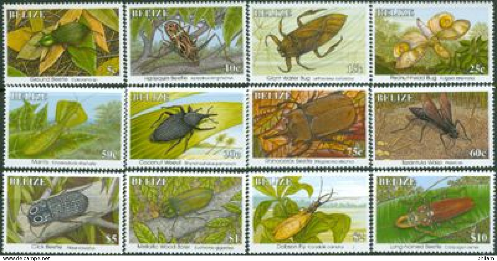 BELIZE 1995 -série Courante - Insectes - 12 V. - Belize (1973-...)